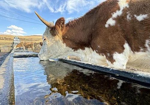 Ardahan da Mera Islahı ve Amenajman projesiyle yaylalar suya kavuşuyor.