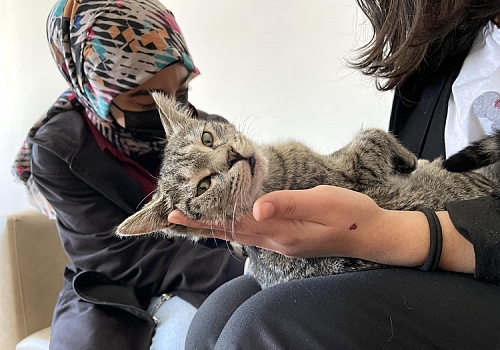Ardahan da Öğrencilerin sahip çıktığı Şanslı ve Üzümün yuvası okul oldu