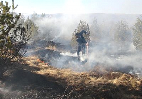 Ardahan'da örtü yangını