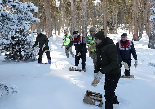 Ardahan'da, özellikle yem bulmakta güçlük çeken yaban hayvanlarına anlamlı bir çalışma gerçekleştirildi