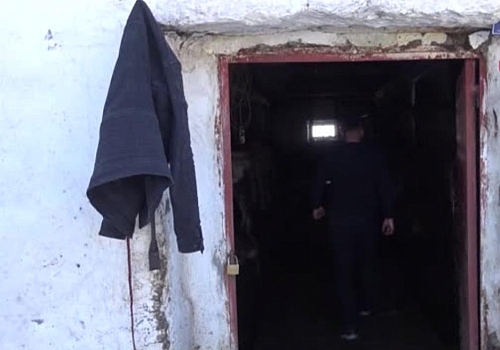 Ardahan da Rahvan atlarını yetiştirip, 100 bin liraya kadar satıyorlar