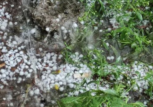 Ardahan'da sağanak ile birlikte etkili dolu da etkili oldu