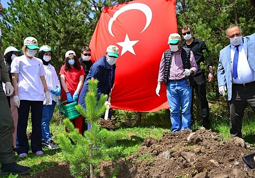 Ardahan'da sağlık çalışanları için bin fidan toprakla buluştu