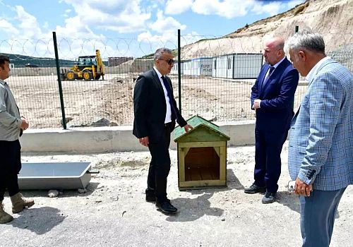 Ardahan'da Sahipsiz Hayvanlar İçin Doğal Yaşam Alanı Açıldı