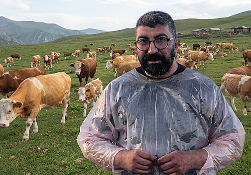 Ardahan'da Şarbon Vakaları: Yetkililer Harekete Geçti