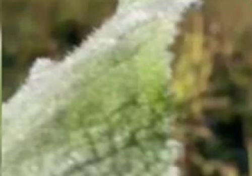 Ardahan'da sıcaklık sıfırın altına düştü