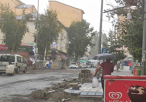 Ardahan'da Şiddetli Sağanak ve Dolu Yağışı Hayatı Olumsuz Etkiledi