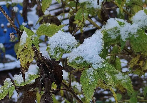 Ardahan’da soğuk hava etkili oldu