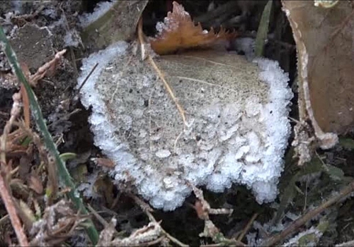 Ardahan'da soğuk hava etkili oluyor