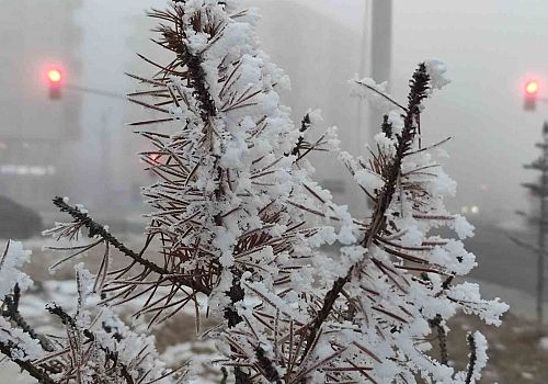 Ardahan’da soğuk hava hayatı olumsuz etkiliyor