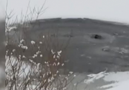 Ardahan da Su samuru nehirde balık yerken görüntülendi