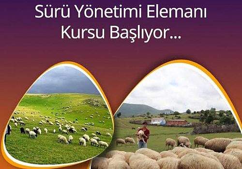 Ardahan da Sürü Yönetimi Kursu için başvuruları başladı 