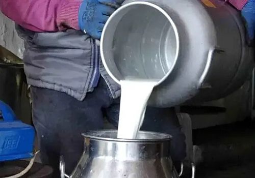 Ardahan'da süt üreticileri, artan maliyetler karşısında sabit kalan alım fiyatlarından şikayetçi