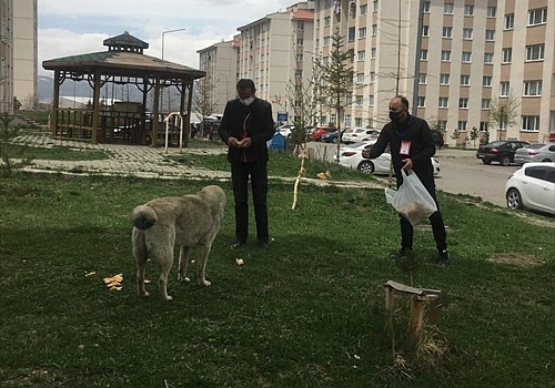 Ardahan'da tam kapanma uygulamasında sokak hayvanları unutulmadı