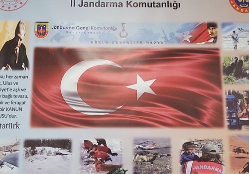 Ardahan'da terör propagandası yaptığı tespit edilen çoban gözaltına alındı