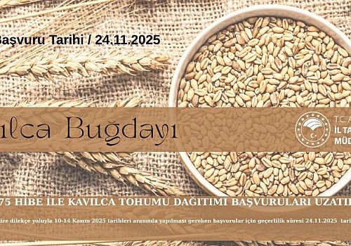 Ardahan’da Üreticiye %75 Hibeli Kavılca Tohumu Desteği