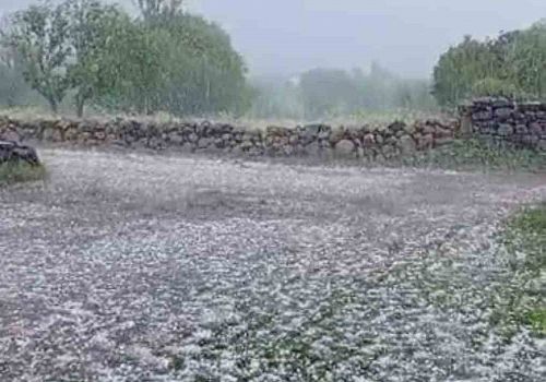 Ardahan’da yağan ceviz büyüklüğündeki dolu ile ekili araziler beyaza büründü