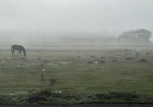 Ardahan’da Yoğun Sis: Görüş Mesafesi Düştü