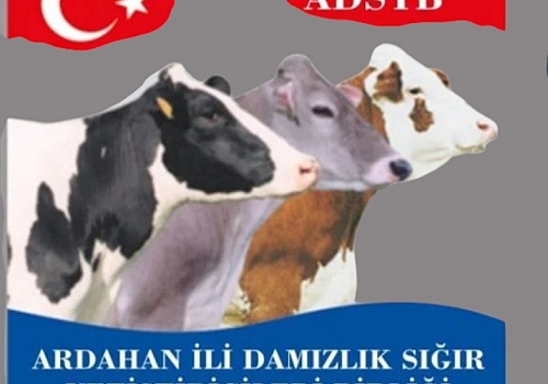 Ardahan Damızlık Sığır Yetiştiricileri Birliği’nde Seçim Heyecanı