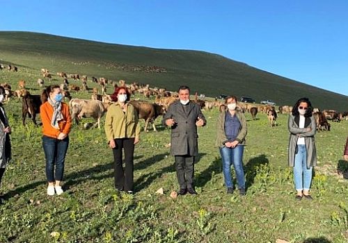 Ardahan'dan İzmir'e et sevkıyatı başladı