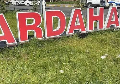 Ardahan dışında 454 bin Ardahanlı yaşarken En Fazla 255 bin Ardahan lı İstanbul da yaşıyor 
