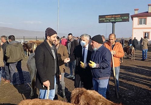 Ardahan Göle'de Şap Hastalığı Alarmı: Hayvan Pazarı Kapatıldı ve Karantina Başlatıldı