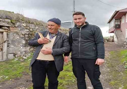 Ardahan Haber: Ardahan da Bitkin halde bulunan Balaban kuşu tedaviye alındı