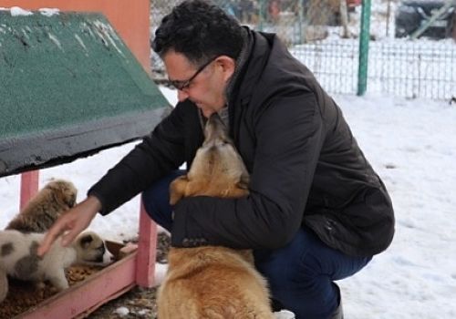 Ardahan Haberi: Ardahan Belediye Başkanı Faruk Demir, hayvan barınağını ziyaret etti.