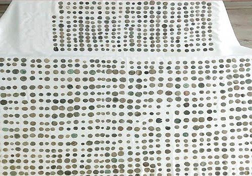 Ardahan Haberi:Ardahan da Bizans dönemlerine ait olduğu değerlendirilen 1114 sikke ele geçirildi