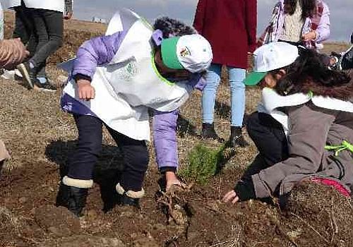 Ardahan Haberi: Ardahan’da bugün binlerce fidan toprakla buluştu