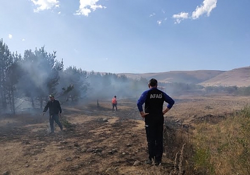 Ardahan Haberi: Ardahan da Ormanlık alanda çıkan yangın söndürüldü