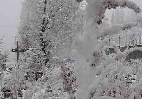 Ardahan Haberi: Ardahan'da Sibirya soğukları yaşamı olumsuz etkiliyor