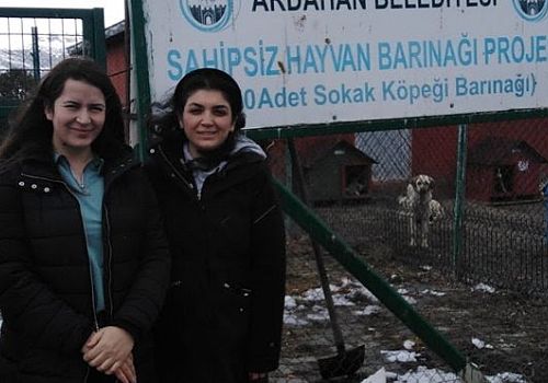 Ardahan Haberi: Ardahan'da vatandaşlar barınaktaki hayvanları besledi