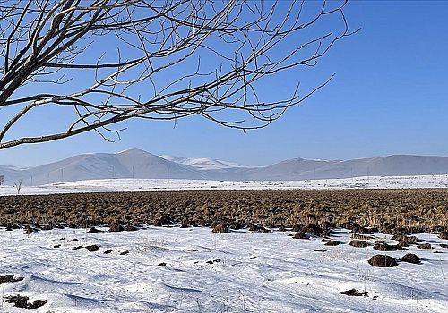 Ardahan Haberi: Ardahan'daki Putka Sazlığı dondu