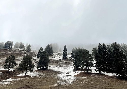 Ardahan Haberi: Ardahan'ın yüksek kesimlerinde kar yağışı ve sis etkili oldu.