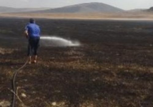 Ardahan Haberi: Ardahan merkeze Yalnızçam köyüne ait tarım arazisinde anızlarda yangın çıktı