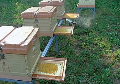 Ardahan Haberi: Başarılı bulunan SOGEP projeleri Arasında Ardahan da Arıcılık Projesi de var 