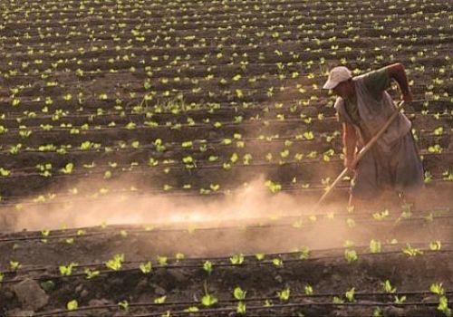 Ardahan Haberi: Çiftçi destekleri Mart 2023 yerine 2022 yılı içinde ödenecek