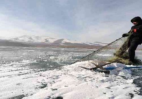 Ardahan Haberi: Çıldır Gölü'nde Eksi 20 derece soğukta ekmeğini buzdan kazanıyor