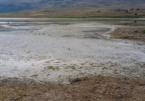 Ardahan Haberi: Çıldır sınırları içinde yer alan Aktaş Gölü’nde ki su çekilmesi dikkat çekici boyutlara ulaştı