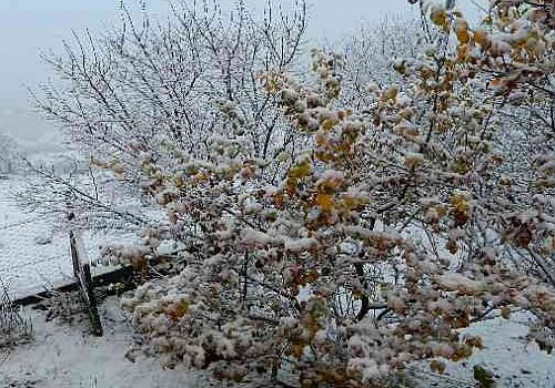 Ardahan Haberi: Etkili Olan Kar Yağışı Posof Vadisini Beyaza Bürüdü 