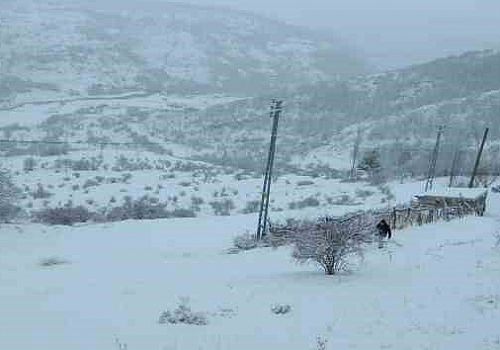 Ardahan Haberi: Posof ta etkili olan kar yağışı ilçeyi beyaza bürüdü