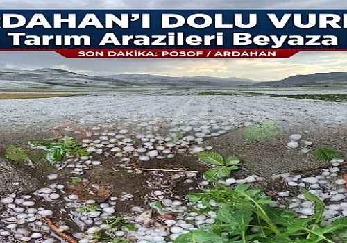 ARDAHAN'I DOLU VURDU: Posof'ta Tarım Arazileri Beyaza Büründü