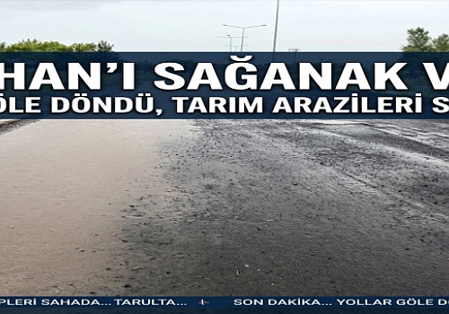 Ardahan'ı Sağanak Vurdu: Yollar Göle Döndü, Tarım Arazileri Su Altında