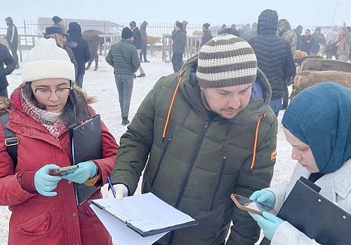 Ardahan İl Tarım ve Orman Müdürlüğü, Göle Hayvan Pazarı’nda denetim gerçekleştirdi