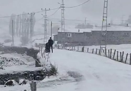 Ardahan'ın yüksek kesimlerinde etkili olan kar yağışı ve tipi, bölgedeki köylerde yaşamı olumsuz etkiliyor 