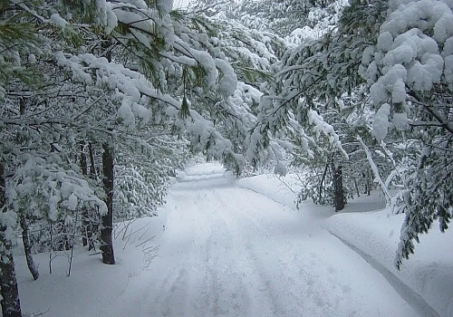  Ardahan, Kars, Iğdır ile Ağrı'da  Kar ve tipi nedeniyle 103 yerleşim yerine ulaşım sağlanamıyor