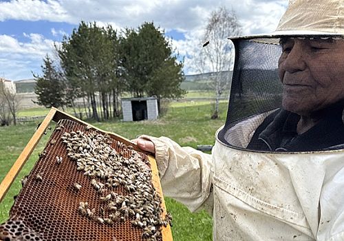 Ardahan lı Kazım Dede 101 yaşında hala arıcılık yapıyor 