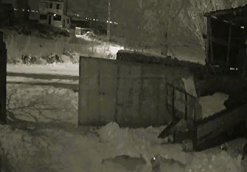 Ardahan merkeze bağlı Akyaka köyüne inen aç kurtlar, 1 yaşındaki yavru köpeği parçaladı