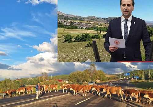 Ardahan Merkeze bağlı Çamlıçatak Köyü’nde alt geçit projesi 2025 yılı yatırım programına alındı